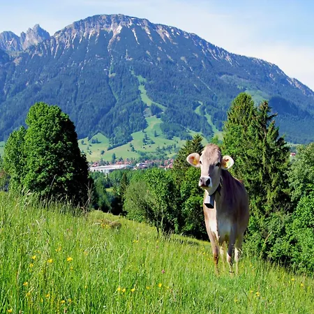 Im Haus Dorn-roeschen * Pfronten