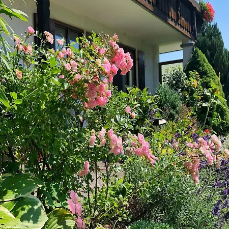 Apartamento Im Haus Dorn-roeschen
